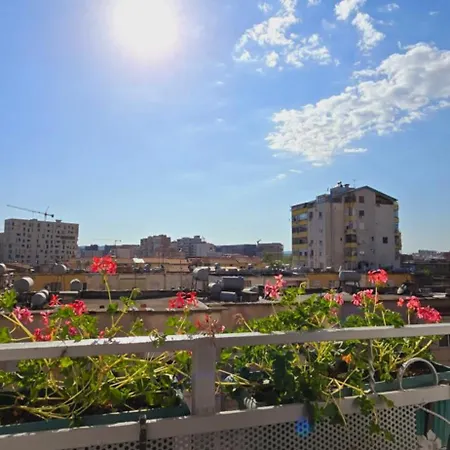 Arkle 2 Тирана