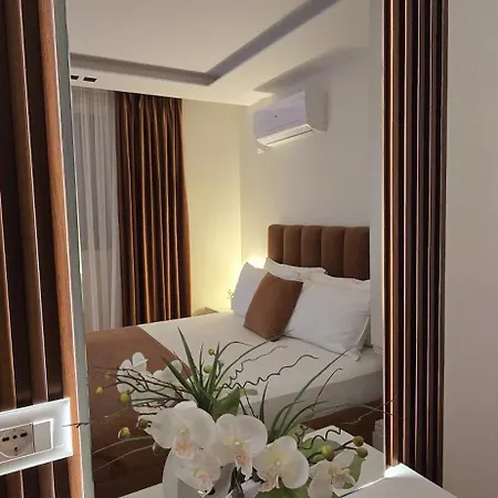 Arkle 2 Тирана