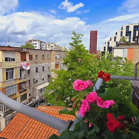 Arkle 2 Тирана